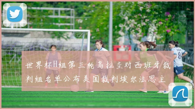 世界杯H组第三轮乌拉圭对西班牙裁判组名单公布美国裁判埃尔法思主裁判